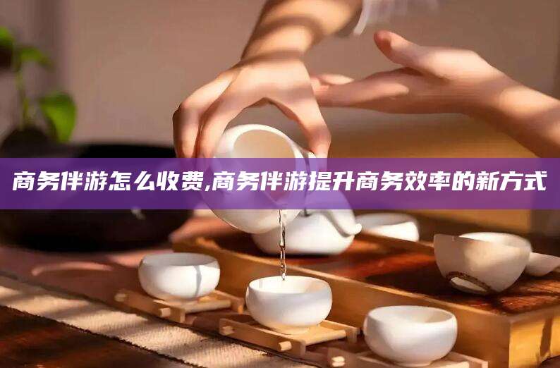 霍邱商务伴游怎么收费,商务伴游提升商务效率的新方式